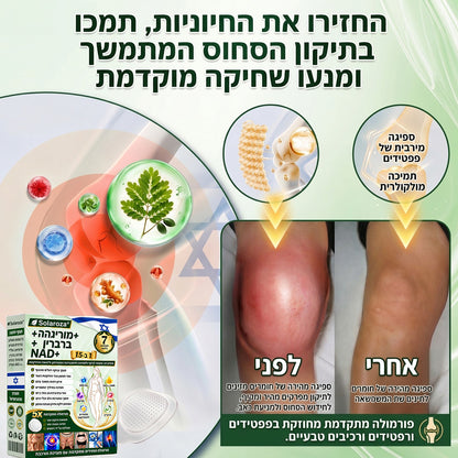 💚חנות רשמית | 🍋 Solaroza® Moringa & Berberine 10-IN-1 Advanced Nano Microneedle 1 Patch (פעם ביום, שינויים ניכרים תוך 7 ימים) ✅ השמנת יתר, סוכרת, דום נשימה בשינה, ובעיות מפרקים