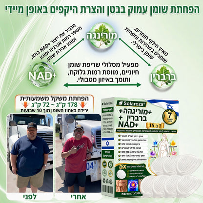 💚חנות רשמית | 🍋 Solaroza® Moringa & Berberine 10-IN-1 Advanced Nano Microneedle 1 Patch (פעם ביום, שינויים ניכרים תוך 7 ימים) ✅ השמנת יתר, סוכרת, דום נשימה בשינה, ובעיות מפרקים